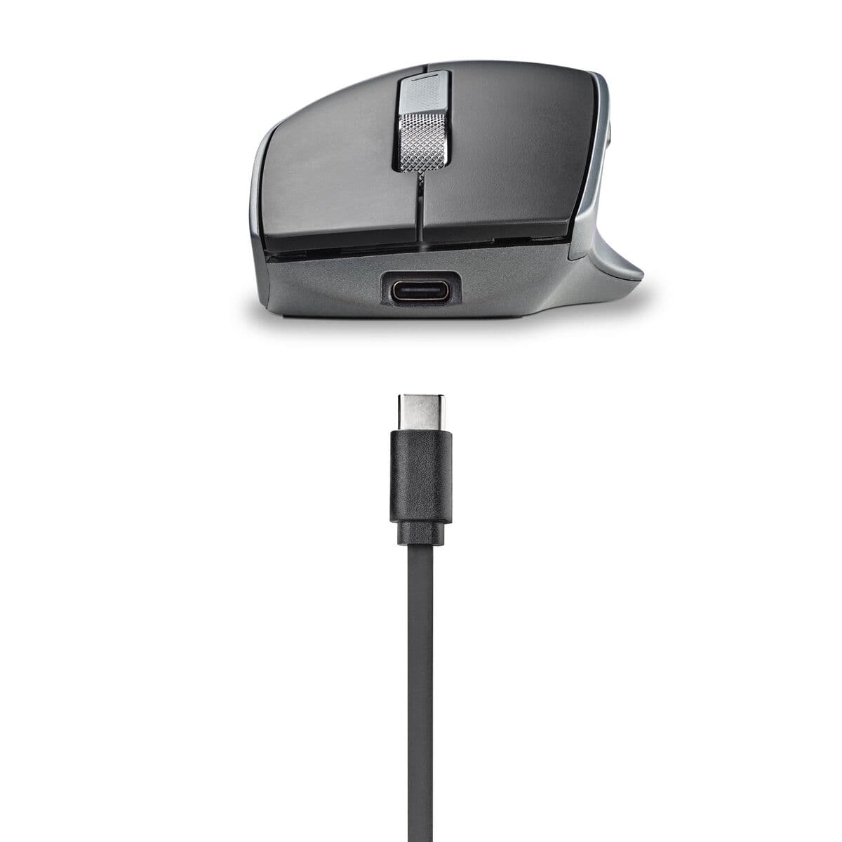 Mus NGS LUSH-RB — thumbnail 2