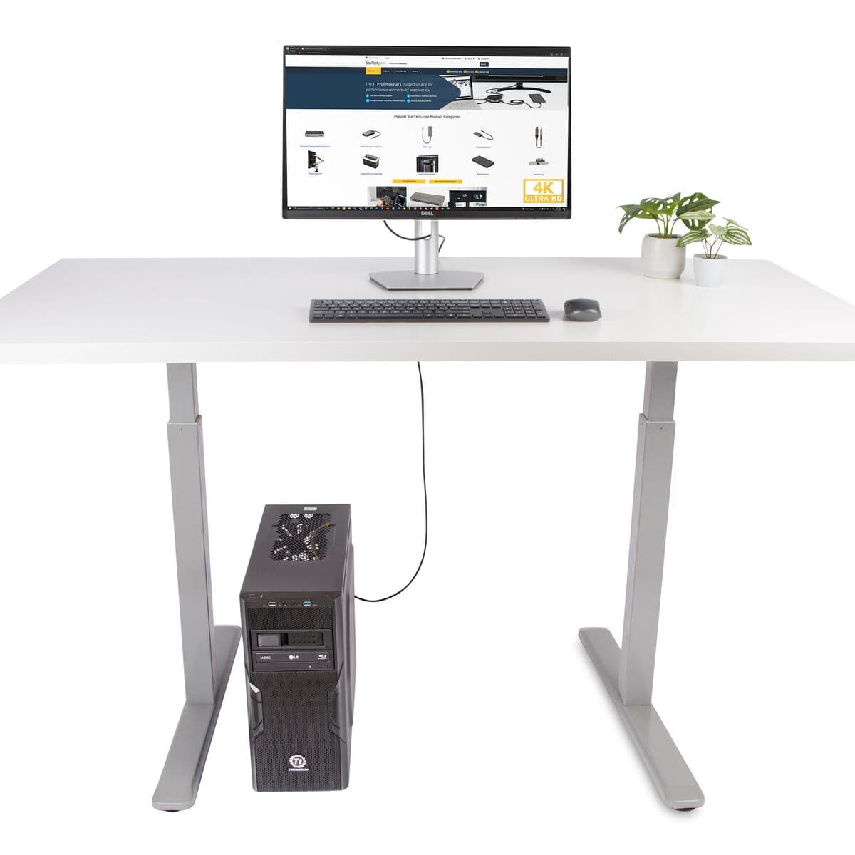 DisplayPort till HDMI Adapter Startech 6F-DP-HDMI-4K60-HDR Svart 2 m — thumbnail 3